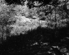 Billings' Property 