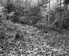 Billings' Property 