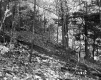 Billings' Property 