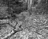 Billings' Property 