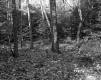 Wiliams' Property 