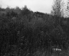 Salls' Property