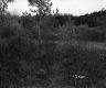 Salls' Property