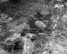 Salls' Property