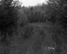 Salls' Property