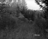 Salls' Property