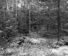 Salls' Property