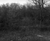 Salls' Property