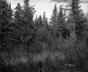 Salls' Property