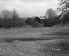 Salls' Property