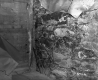 Wood's Property - Cellar