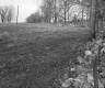 Dyer Property, Pasture