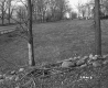 Dyer Property, Pasture