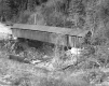Covered Bridge over Lull's Brook