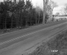 Dunham Property, Forest along Highway