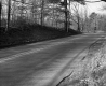 Dunham Property, Forest along Highway