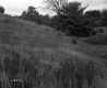 Clancy Property, Rolling Hills