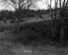 Clancy Property, Rolling Hills