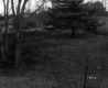 Clancy Property, Rolling Hills