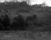 Clancy Property, Rolling Hills and Houses