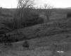 Clancy Property, Rolling Hills