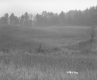Hazen Property, Field and Forest