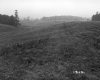 Hazen Property, Crop Field