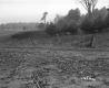 Hazen Property, Crop Field