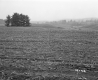 Hazen Property, Crop Field