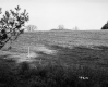 Hazen Property, Crop Field