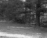 Hazen Property, Forest View