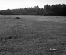 Hazen Property, Farm Field