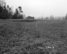 Fields and Forest on the Property of Farrell Farms Inc.