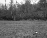Fields and Forest on the Property of Farrell Farms Inc.