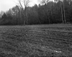 Crop Field on the Property of Farrell Farms Inc.