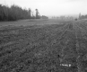 Crop Field on the Property of the Norwich School District