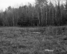 Field and Forest on the Property of the Norwich School District