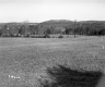 Weiss Property, Farm Fields