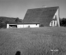 Weiss House