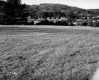 Weiss Property, Farm Field
