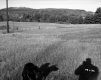Weiss Property, Farm Fields