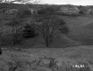Britton and Nelson Property, Farm Fields