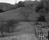 Britton and Nelson Property, Farm Fields