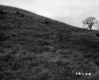 Britton and Nelson Property, Grassy Hill