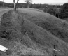 Britton and Nelson Property, Farm Fields
