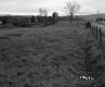 Britton and Nelson Property, Farm Fields