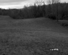 French Property, Farm Fields and Forest