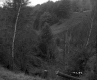 French Property, Forested Slope