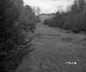 French Property, Field and Forest