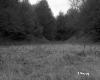 French Property, Field and Forest